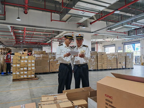 锚定高质量发展 上海海关助推虹桥国际开放枢纽高水平对外开放