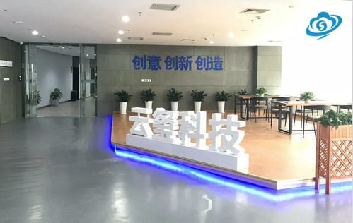 高新区优秀企业及产品展示三 信息服务业务引领数字化未来